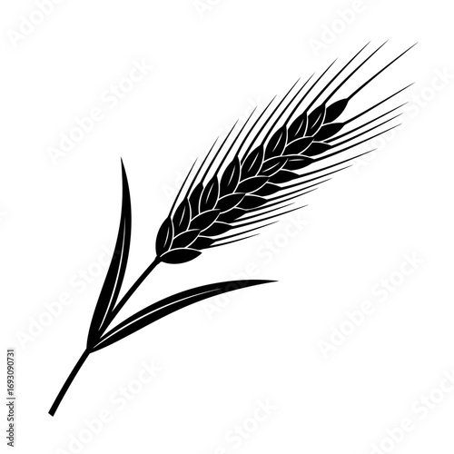Vector art of single wheat ear illustration, representing the simplicity and elegance of natures bounty and agricultural heritage