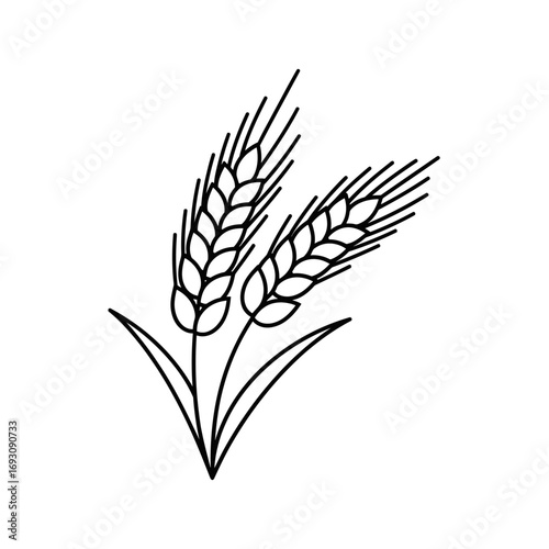 Vector art of two wheat ears illustration, symbolizing abundance, partnership, and the essential role of agriculture in sustenance