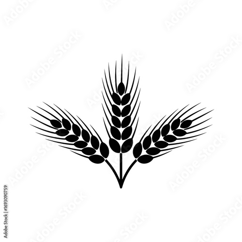 Vector art of three wheat stalks, a symbol of abundance and prosperity for agriculture or food related industry
