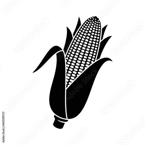 Illustration of a corn cob, a staple food crop and a symbol of agriculture and the harvest season