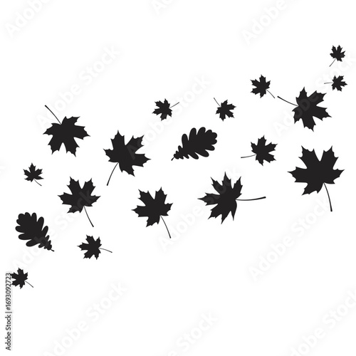 Vector art of autumn leaves falling, a simple vector illustration of maple and oak leaves in a scattered arrangement