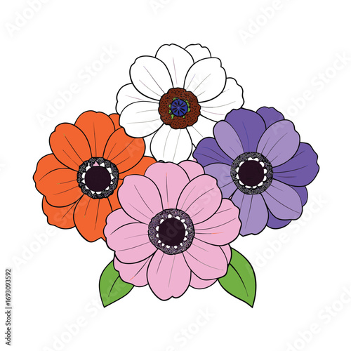 Vibrant anemone flowers in assorted colors on a clean white background