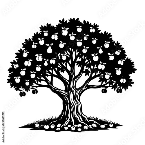 Vector art of silhouette of a bountiful apple tree with ripe fruits hanging from its branches, lush foliage and roots