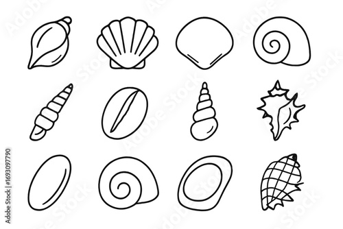Line Style Sea Shells. Line style icons of sea shells: conch shell, scallop shell, clam shell, spiral shell; auger shell, cowrie