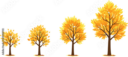 Autumn tree illustration, fall season nature design, yellow foliage artwork, seasonal plant graphic, outdoor landscape element, natural environment background, decorative vegetation.