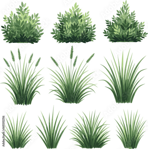 Green bush and grass illustration, garden landscape plants, nature foliage design, outdoor vegetation graphic, eco friendly decorative element, natural background.