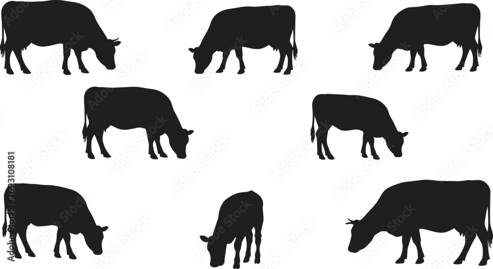 Naklejka premium Farm cow silhouettes, grazing cattle vector illustration, livestock animal artwork, black cow design, rural agriculture dairy farming icon