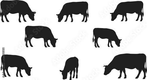 Farm cow silhouettes, grazing cattle vector illustration, livestock animal artwork, black cow design, rural agriculture dairy farming icon