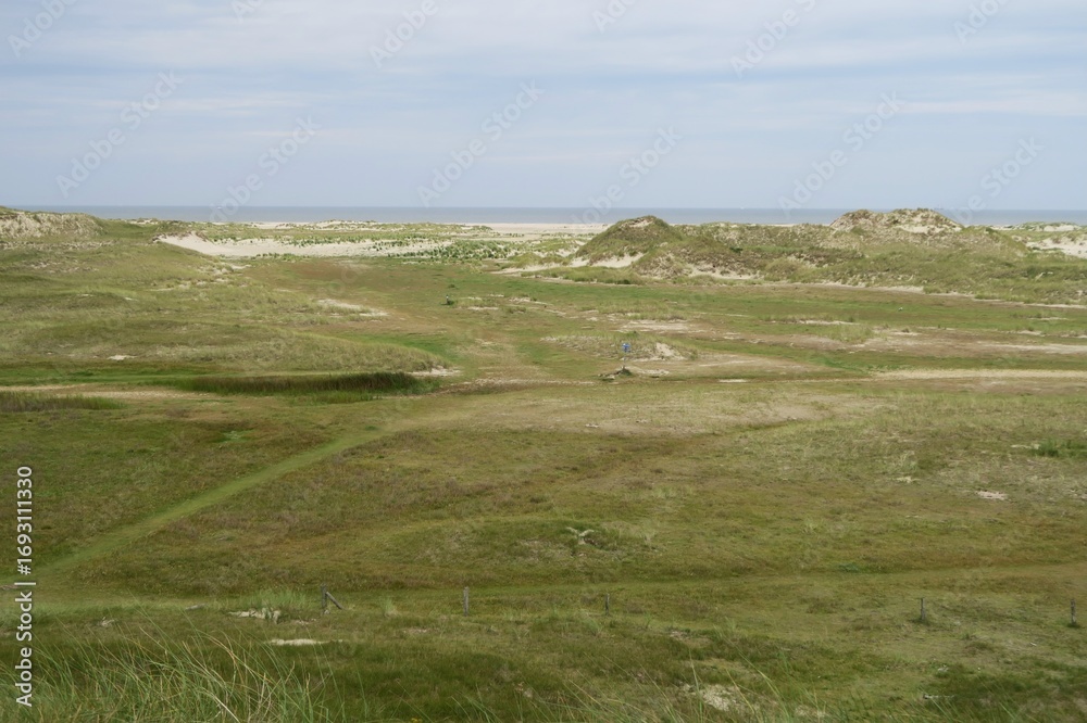Fototapeta premium Von der Möwendüne auf der ostfriesischen Nordseeinsel Norderney ist eine hügelige Dünenlandschaft mit Weißdünen in Richtung des Strands zu sehen. Im Hintergrund ist die Nordsee zu sehen.