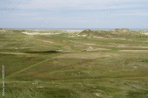 Wallpaper Mural Von der Möwendüne auf der ostfriesischen Nordseeinsel Norderney ist eine hügelige Dünenlandschaft mit Weißdünen in Richtung des Strands zu sehen. Im Hintergrund ist die Nordsee zu sehen. Torontodigital.ca