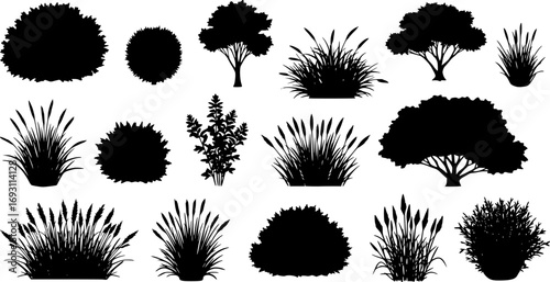 various deciduous trees silhouettes on the white background. vector set. PNG white background
