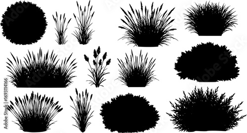 various deciduous trees silhouettes on the white background. vector set. PNG white background
