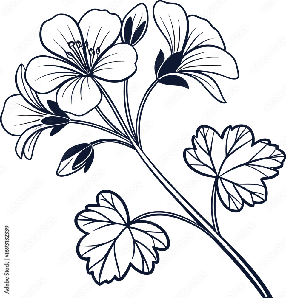 Obraz premium Simple minimal black outline geranium flower line art design