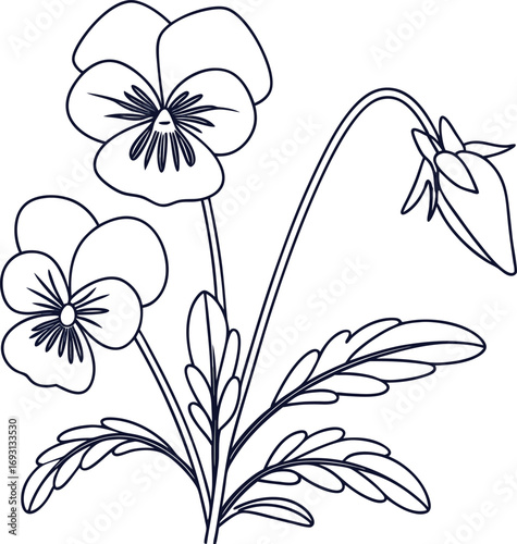 Minimalist pansy flower line art illustration clean design