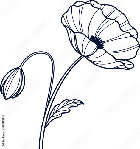 Simple red poppy flower outline illustration for design projects