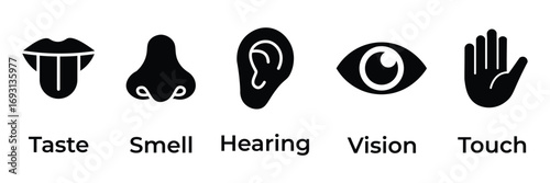 Human senses icon set. Vision eye, smell nose, hearing ear, touch hand, taste mouth with tongue. Simple line icons and black circle. Five senses of human nervous system. Vector illustration.