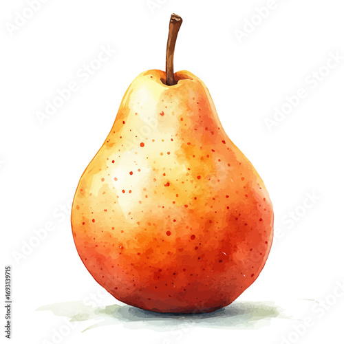 Pear, watercolor painting vector, isolated on a white background.