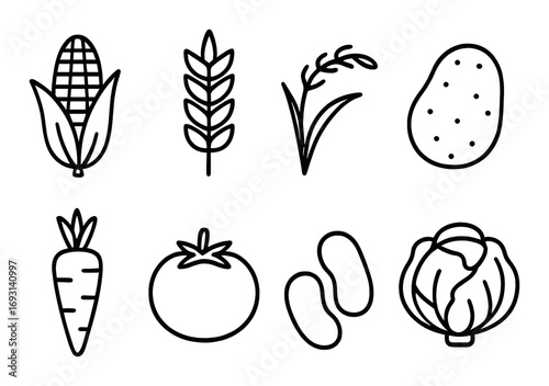 Vegetable linear icon set. featuring corn, wheat, rice, potato, carrot, tomato, beans, cabbage symbols.
