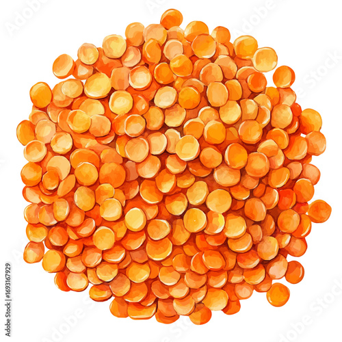 Lentils, watercolor vector, isolated on a white background.