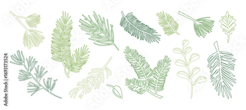Winter pine, fir branch line icon. Christmas tree and leaf outline design. Spruce needle and evergreen plant hand drawn, cedar twig editable stroke, Xmas decoration isolated on bg. Vector illustration