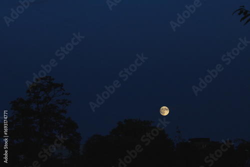 Full moon rising above dark trees in the evening sky.A bright full moon shines over the silhouettes of trees against a deep blue evening sky, creating a calm and atmospheric night scene.