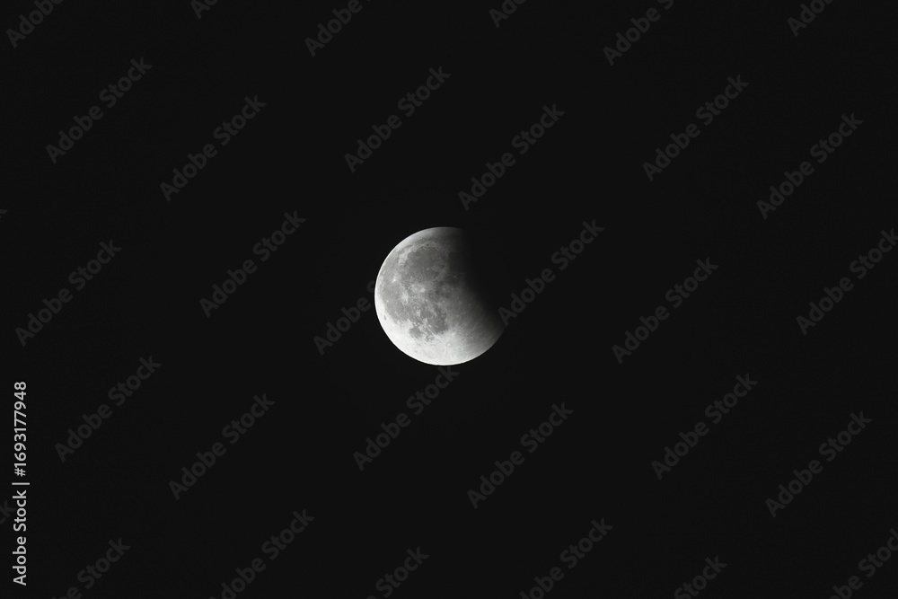 Fototapeta premium Close-up of the moon during a lunar eclipse against a dark night sky.