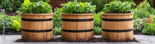 Obraz  z motywem Wooden Barrel Planters with Greenery, Garden Decor ,Container Gardening