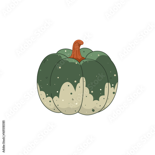 Green pumpkin illustration with textured details. Autumn harvest, seasonal vegetable, perfect for fall decorations, Thanksgiving, and healthy food design projects.
