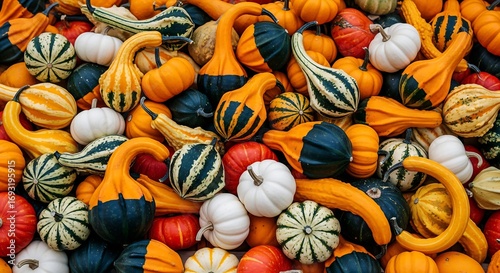 An overhead shot showcases a vibrant assortment of colorful gourds and pumpkins in varying shapes and sizes, creating a seasonal display.
