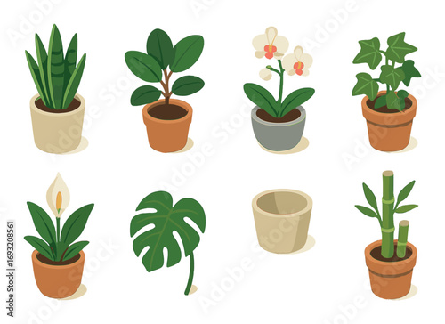 Houseplant flat icon set. featuring snake, fiddle leaf, orchid, ivy, peace lily, monstera, pot, bamboo.