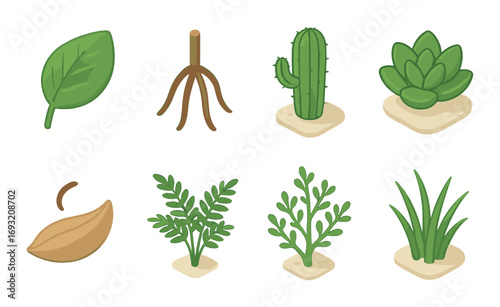 Plant growth flat icon set. featuring leaf, root, cactus, succulent, seed, sprout, bush, herb, and grass symbols.
