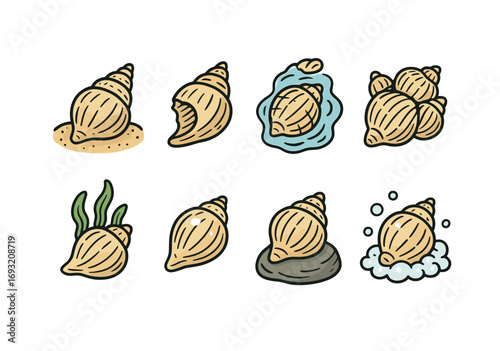 Beach shells flat icon set. featuring sand, broken, water, cluster, seaweed, plain, mud, and bubbles symbols.