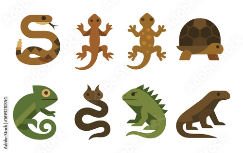 Reptile flat icon set. featuring snake, gecko, turtle, lizard, chameleon, and iguana symbols.
