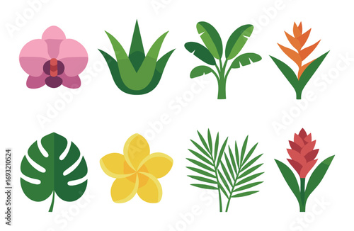Tropical flower and leaf silhouette icon set. featuring orchid, aloe, palm, monstera, frangipani.