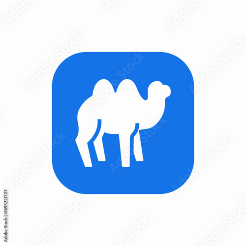 camel animal icon sign vector