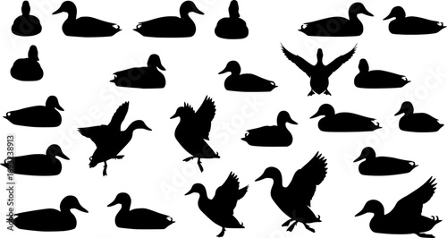 collection of mallard duck silhouettes for designers
