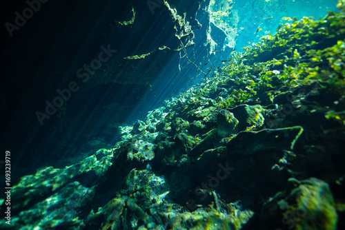Sun rays piercing the water at Nicte Ha Cenote in the Yucatan Peninsula, Mexico