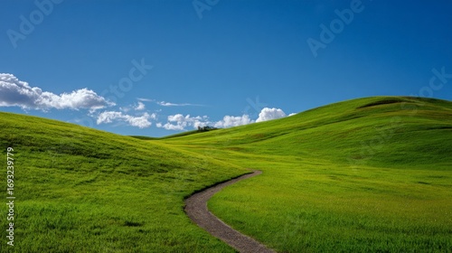 Rolling hills landscape pathway