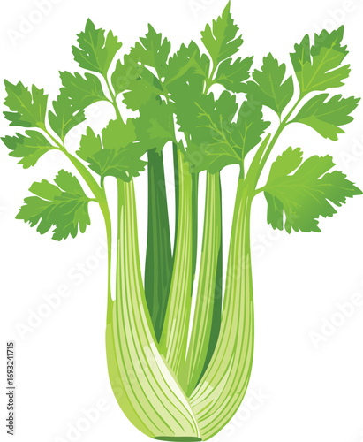 A stalk of fresh, crisp green celery with leaves. An isolated vector illustration for concepts of healthy food, vegetables, diet, and cooking. Generative AI