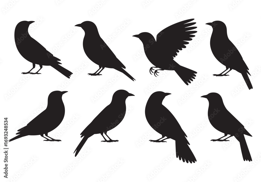 Obraz premium Diverse silhouettes of crows or blackbirds in various poses on a white backdrop white background