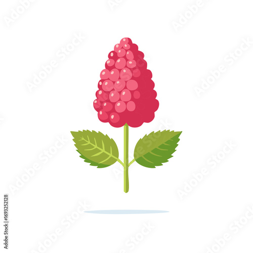 Vibrant pink raspberry fruit with green leaves on stem vector illustration isolated