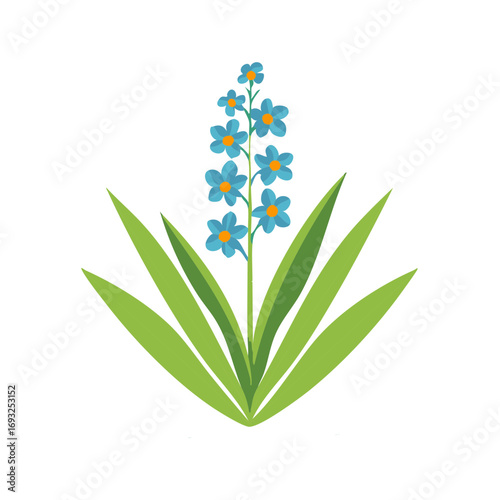 Bright blue flowering plant with green leaves and orange centers illustration