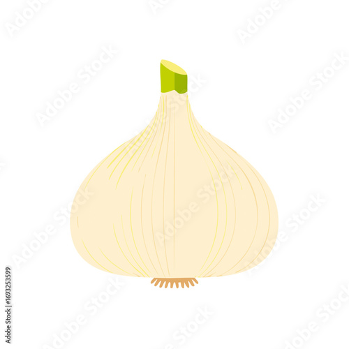 Isolated Garlic Bulb with Green Shoot Minimalist Flat Vector Illustration
