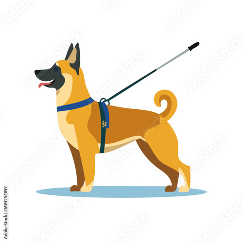 Belgian Shepherd Dog Illustration Guiding Blind Person Using Harness and Walking Stick on White Background