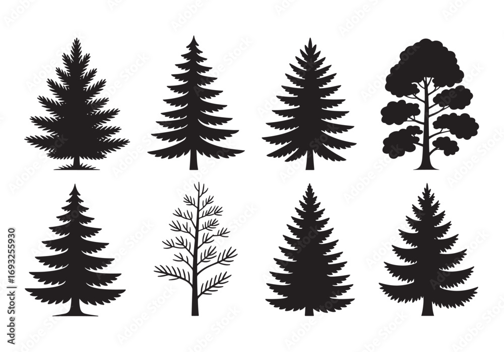 Fototapeta premium Collection of diverse pine and evergreen tree silhouettes set natural forest flora elements white background