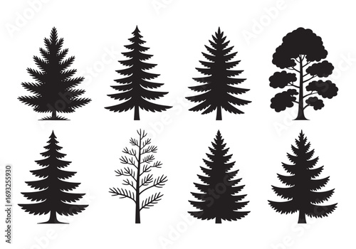 Collection of diverse pine and evergreen tree silhouettes set natural forest flora elements white background