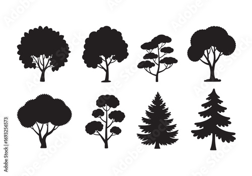 Diverse silhouettes of deciduous and coniferous trees in natural forest collection white background
