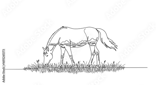 Horse grazing in monoline style on transparent background  