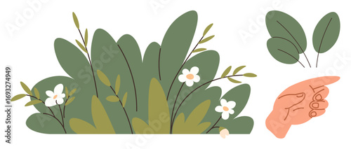 Green bush with white blooming flowers, hand reaching for detached leaves. Ideal for nature, gardening, eco-living, organic lifestyle, plant care, sustainability and minimalism. Simple flat metaphor