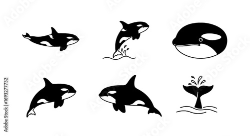 Iconic Black and White Whale Artistry Highlighting the Beauty of Marine Wildlife in Simple Form